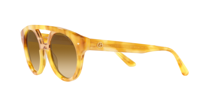 Sunglasses Giorgio Armani AR8163 57612L 8056597641869 | Ottica Lux
