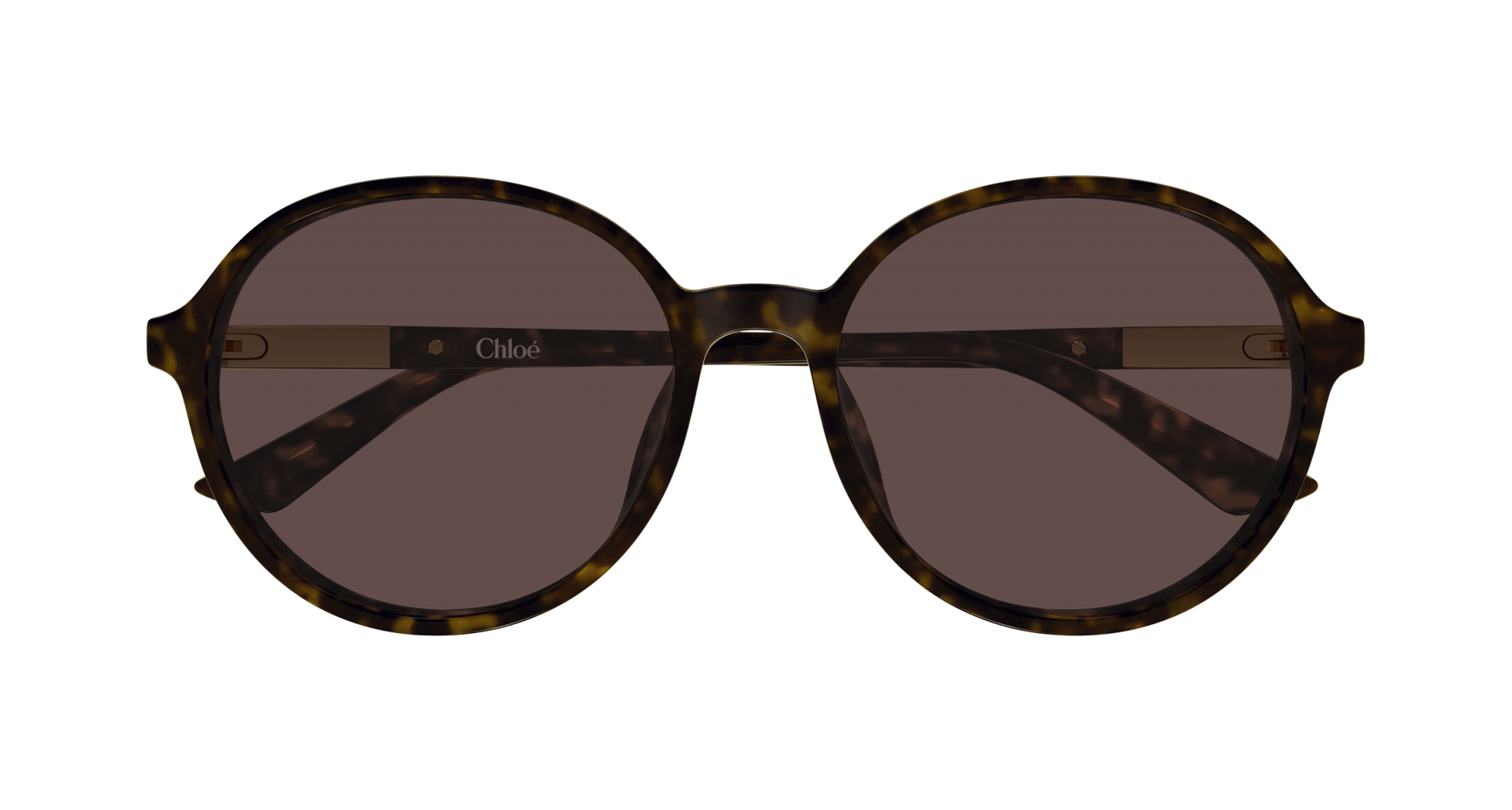Sunglasses Chloé CH0365SK 002 8056376660265 | Ottica Lux