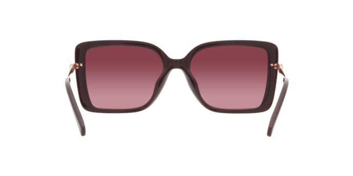 Sunglasses Michael Kors MK2174U CASTELLINA 33448H 0725125387804 | Ottica Lux