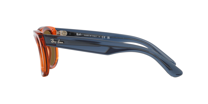 Sunglasses Ray-Ban RBR0502S WAYFARER REVERSE 6712GM 8056597918909 | Ottica Lux