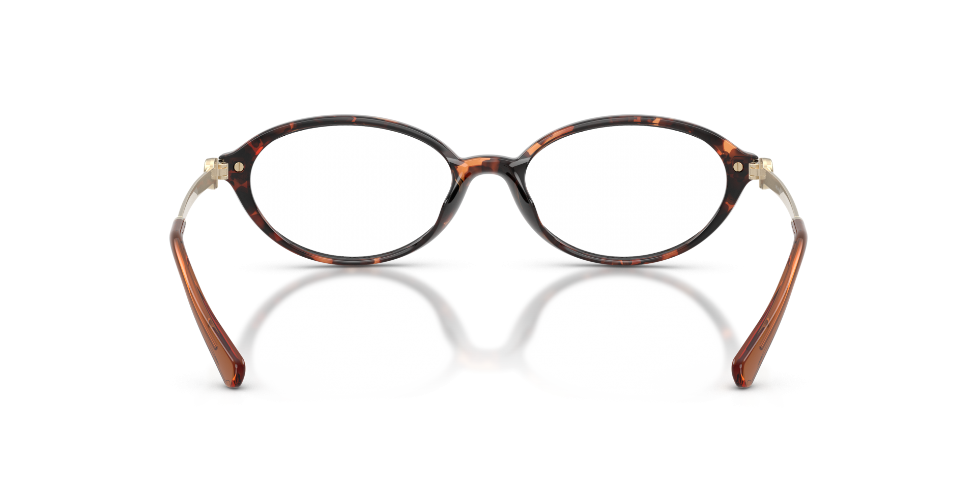 Ophthalmic frames Michael Kors MK4199U KENSINGTON 4031 0725125550178 | Ottica Lux