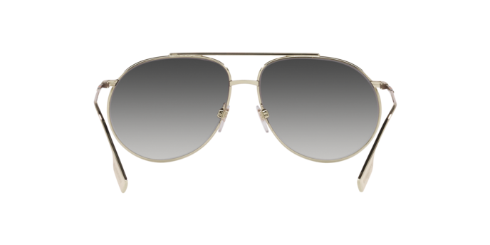 Occhiali da sole Burberry BE3138 ALICE 11098G 8056597736817 | Ottica Lux
