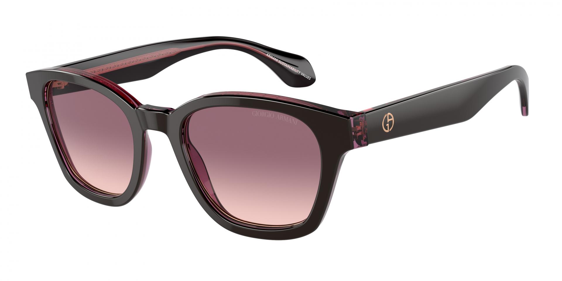 Sunglasses Giorgio Armani AR8207 60888D 8056262049464 | Ottica Lux