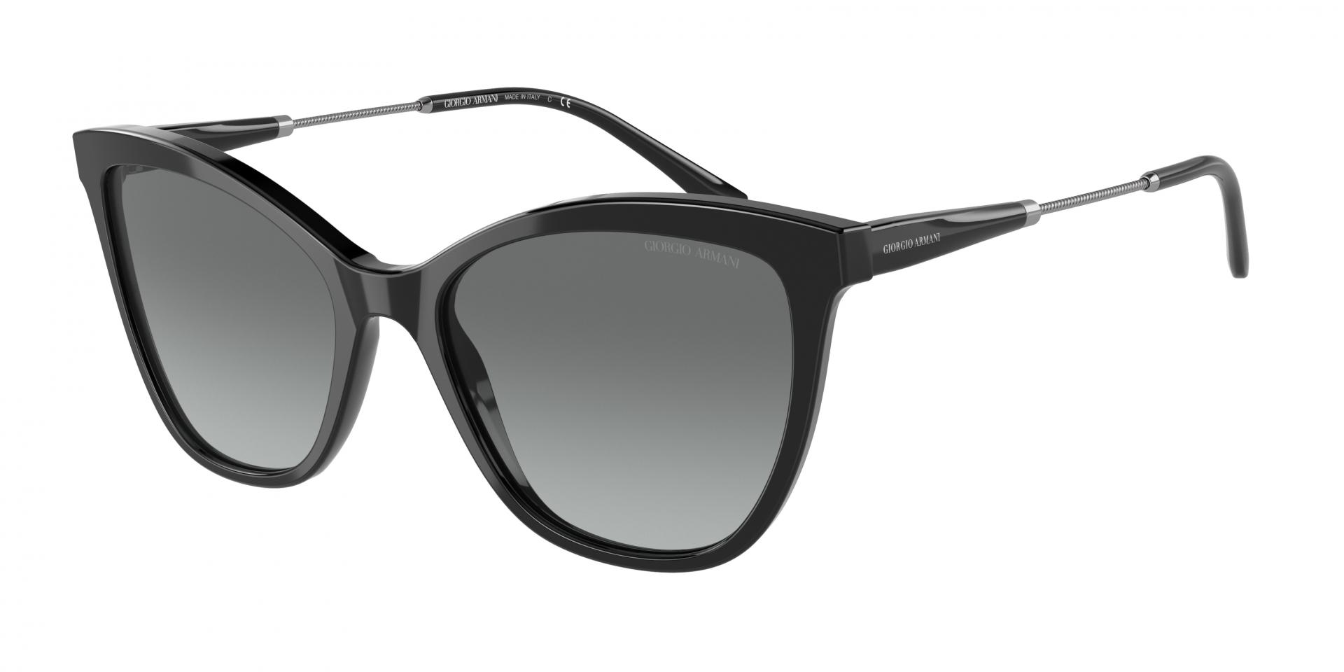 Occhiali da sole Giorgio Armani AR8157 500111 8056597622776 | Ottica Lux