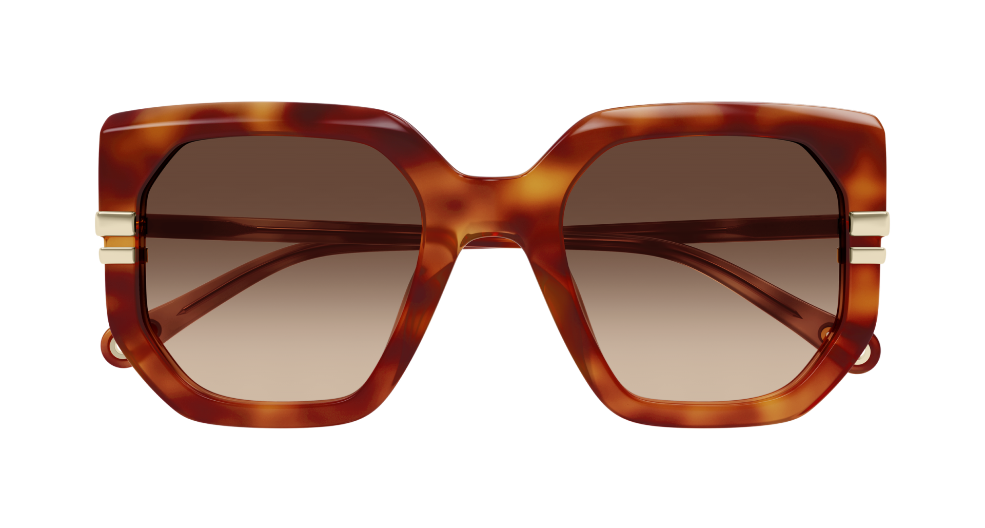 Occhiali da sole Chloé CH0240S 007 8056376616842 | Ottica Lux