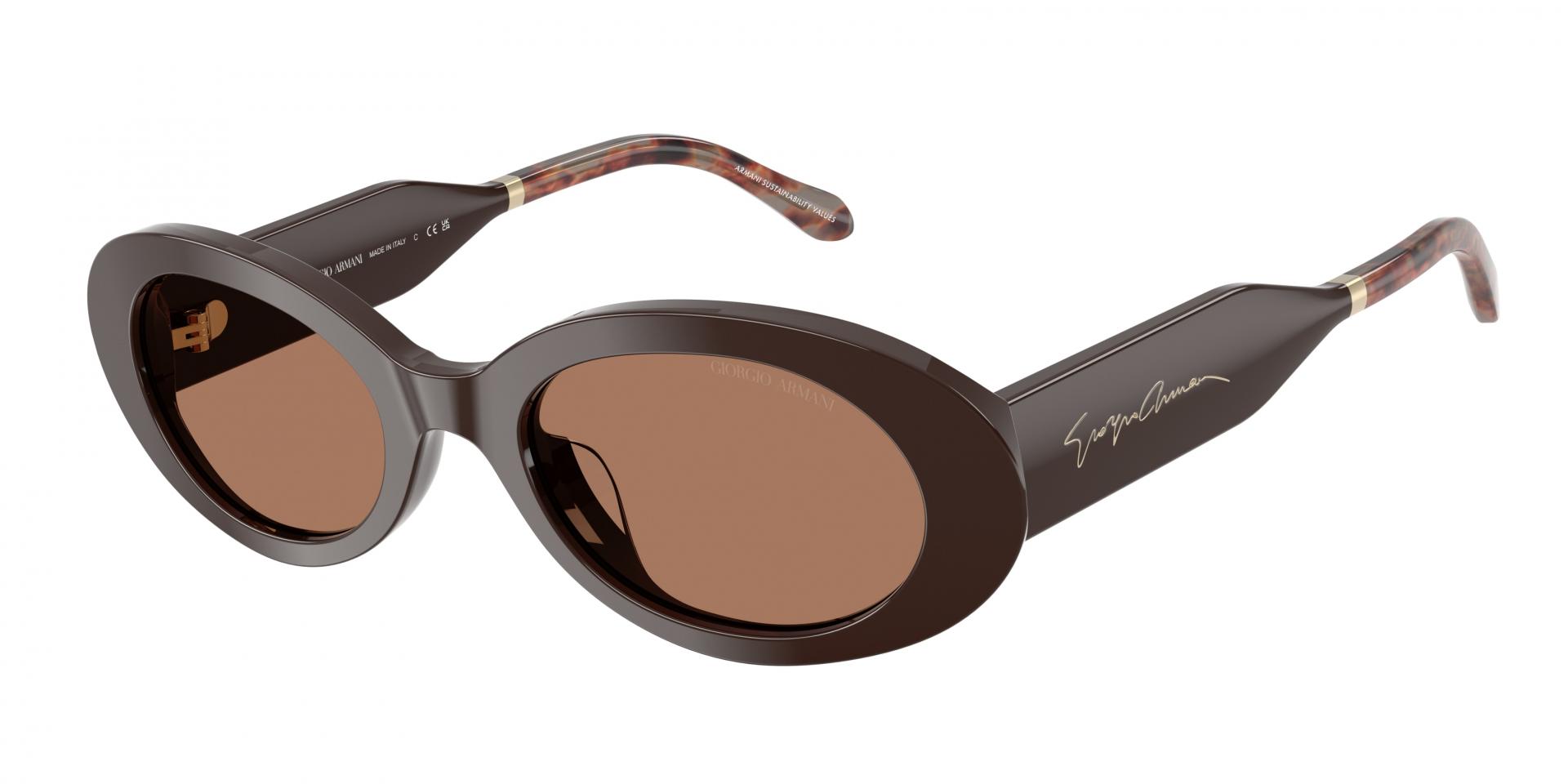 Sunglasses Giorgio Armani ar8234u 587587 8056262448359 | Ottica Lux
