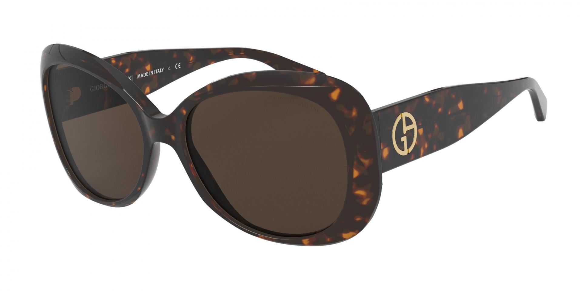 Occhiali da sole Giorgio Armani AR8132 500111 8056597182546 | Ottica Lux