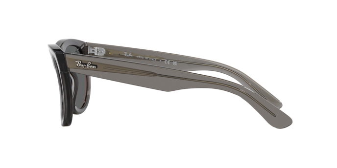 Sunglasses Ray-Ban RBR0502S WAYFARER REVERSE 6707GR 8056597918855 | Ottica Lux Sunglasses Ray-Ban RBR0502S WAYFARER REVERSE 6707GR 8056597918855 | Ottica Lux