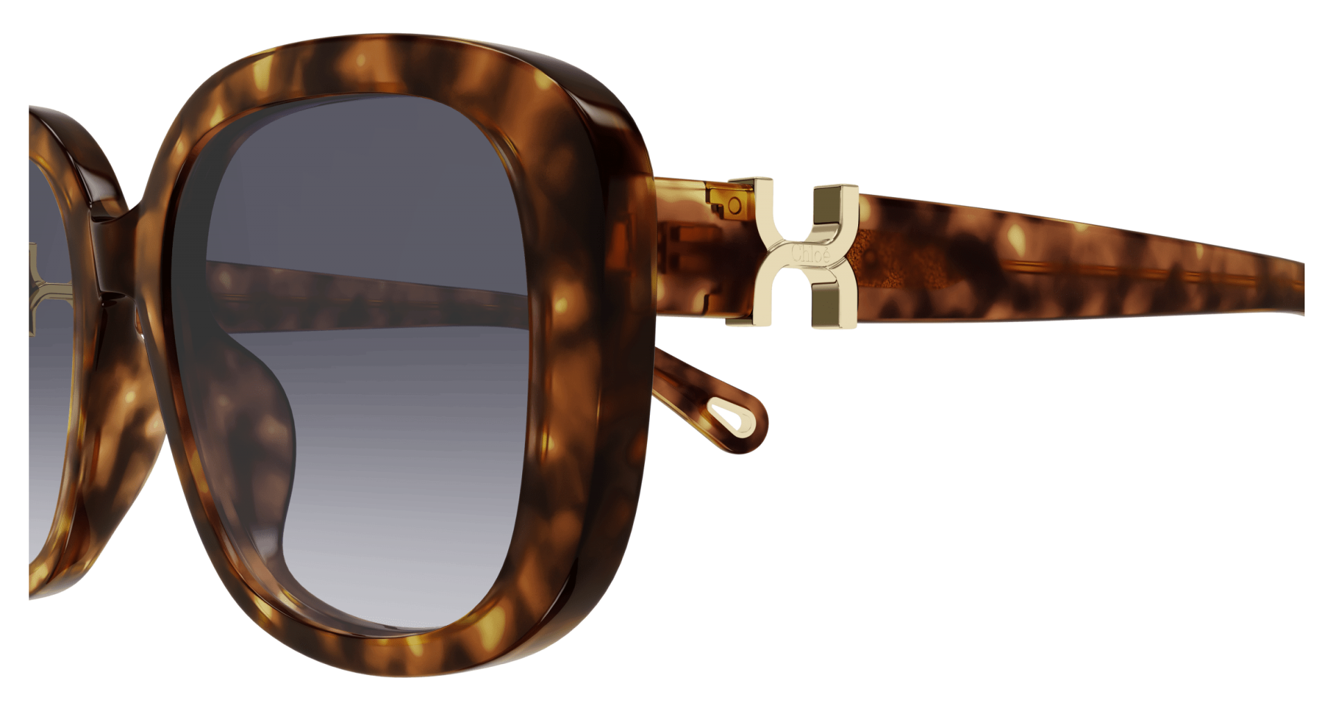 Sunglasses Chloé CH0303SK 002 8056376561739 | Ottica Lux