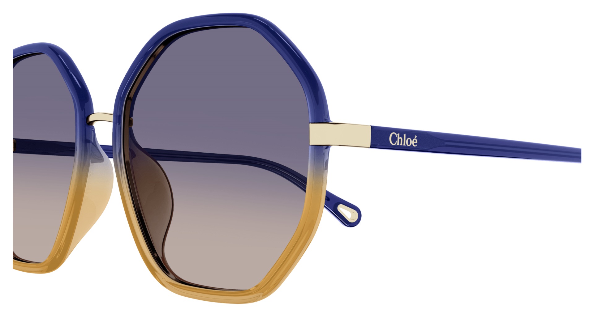 Sunglasses Chloé CH0133SA 007 8056376472110 | Ottica Lux
