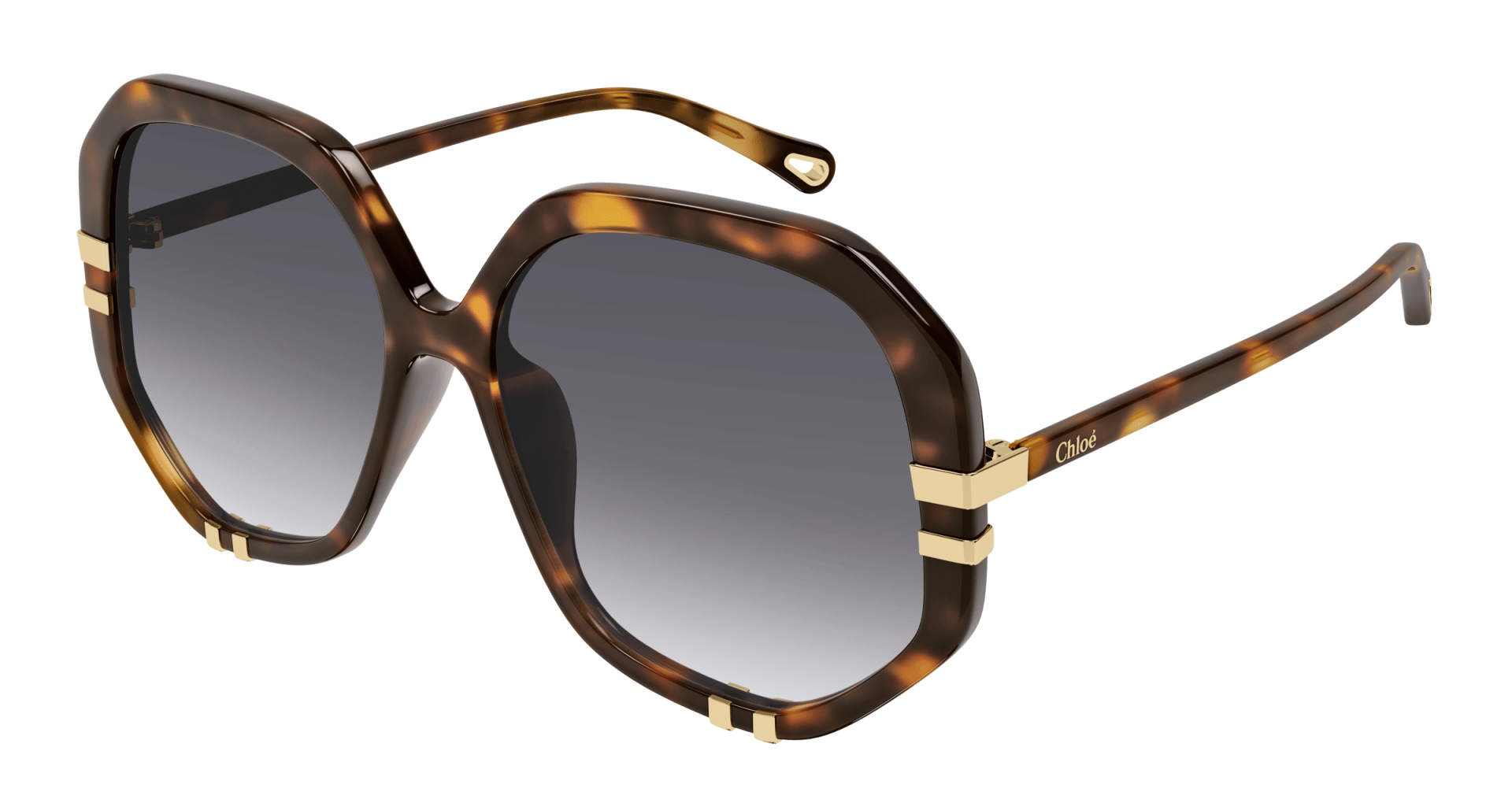 Occhiali da sole Chloé CH0105S 007 8056376426373 | Ottica Lux