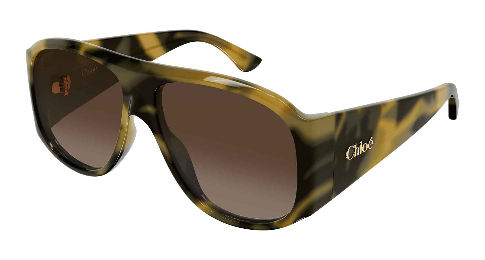 Sunglasses Chloé CH0347S 007 8056376702118 | Ottica Lux