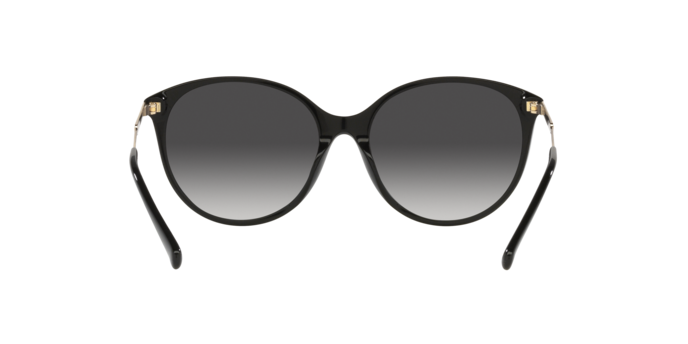 Sunglasses Michael Kors MK2170U KARLIE 3005T3 0725125518222 | Ottica Lux Sunglasses Michael Kors MK2170U KARLIE 3005T3 0725125518222 | Ottica Lux
