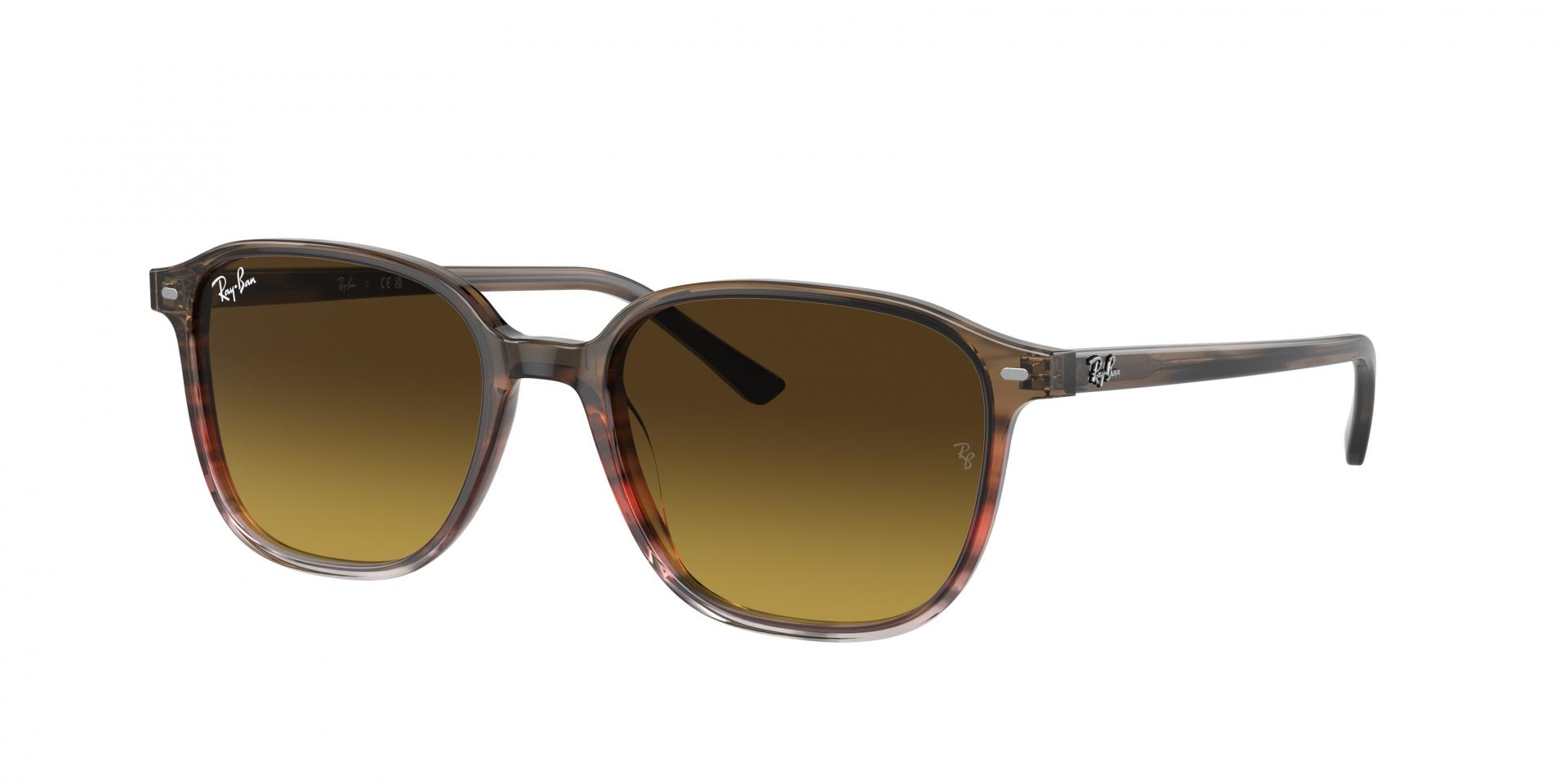 Occhiali da sole Ray-Ban RB2193 LEONARD 138085 8056597855945 | Ottica Lux