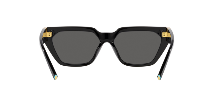 Sunglasses Tiffany & Co. TF4205U 8001S4 8056597850803 | Ottica Lux Sunglasses Tiffany & Co. TF4205U 8001S4 8056597850803 | Ottica Lux