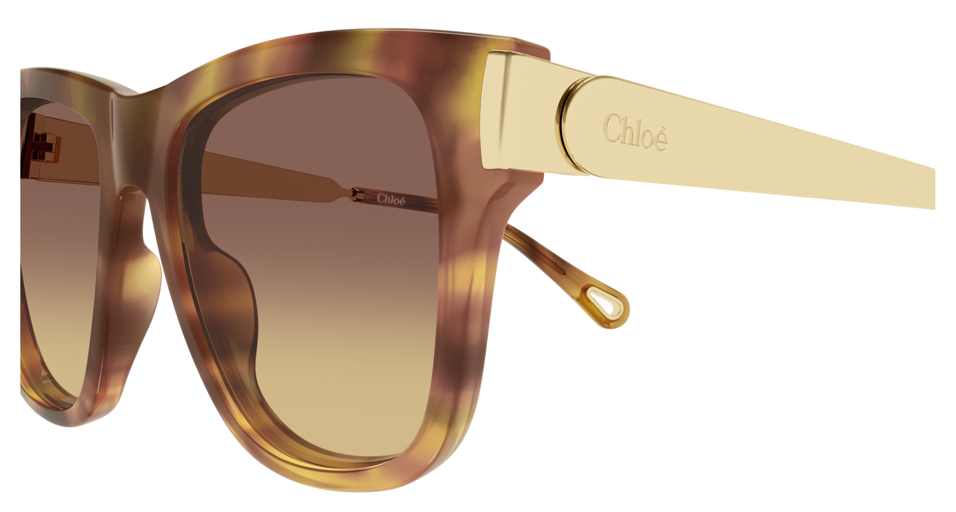Occhiali da sole Chloé CH0349S 002 8056376659535 | Ottica Lux