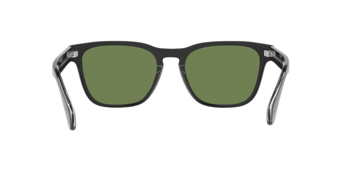 Occhiali da sole Giorgio Armani AR8155 587556 8056597974431 | Ottica Lux