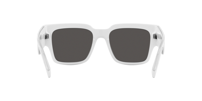 Sunglasses Dolce & Gabbana DG6184 331287 8056597845373 | Ottica Lux