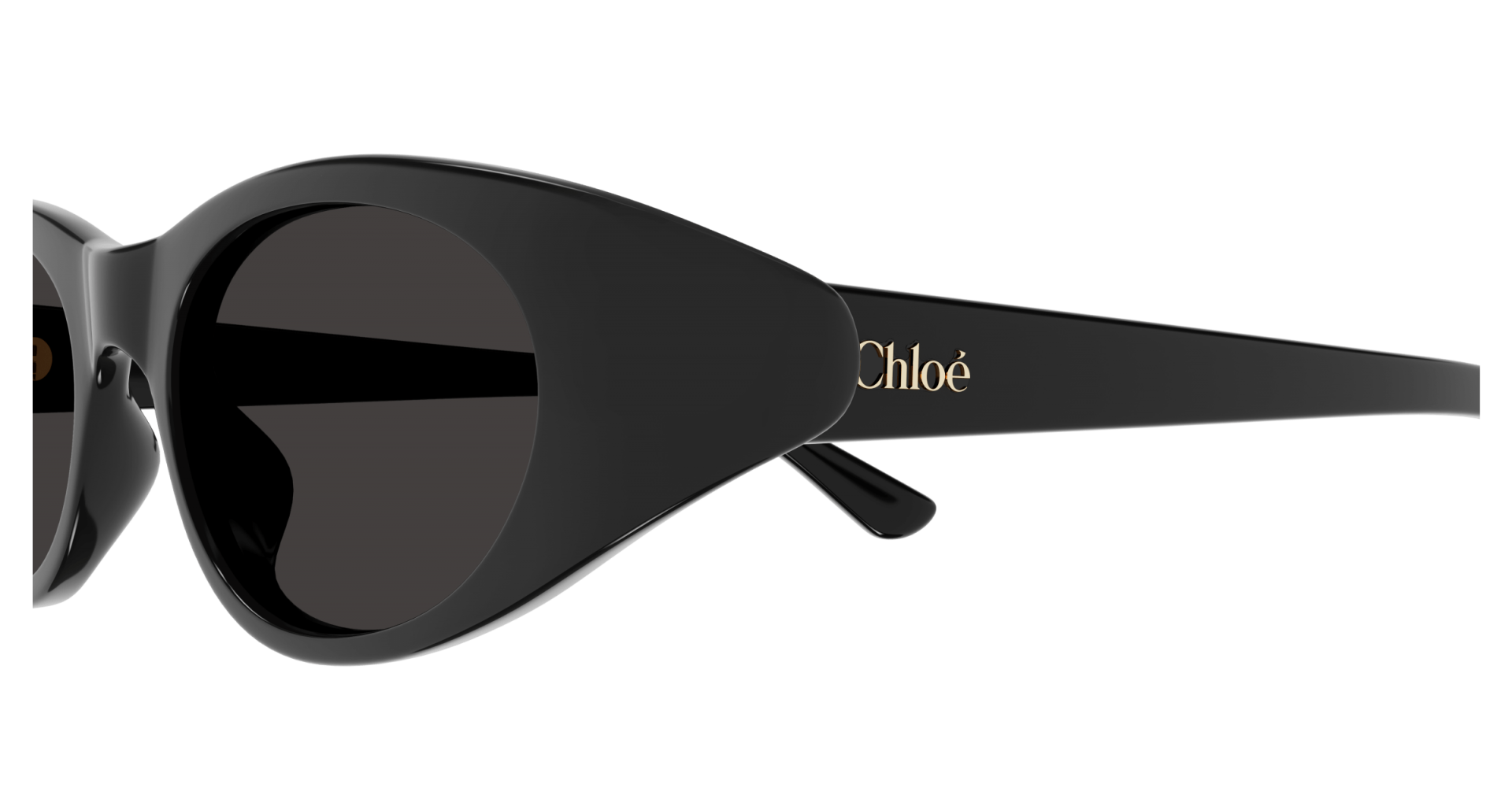 Occhiali da sole Chloé CH0279S 001 8056376541519 | Ottica Lux