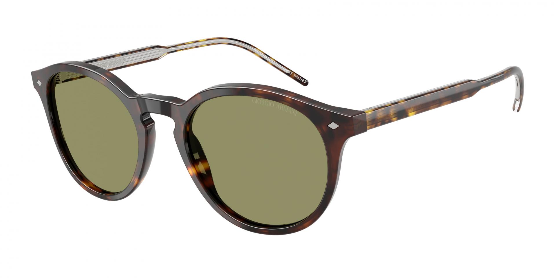 Sunglasses Giorgio Armani AR8211 587914 8056262250068 | Ottica Lux