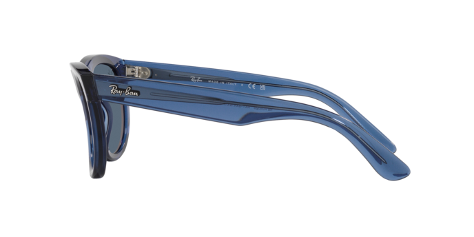 Occhiali da sole  RJ9064S 716246 8056262081716 | Ottica Lux