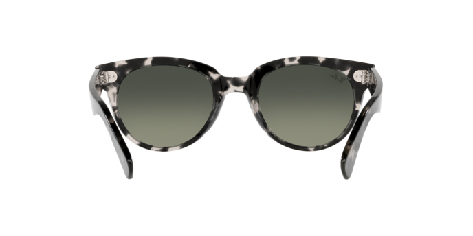 Sunglasses Ray-Ban RB2199 ORION 133371 8056597461610 | Ottica Lux Sunglasses Ray-Ban RB2199 ORION 133371 8056597461610 | Ottica Lux