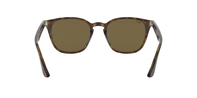 Sunglasses Ray-Ban RB4258 710/73 8053672636505 | Ottica Lux Sunglasses Ray-Ban RB4258 710/73 8053672636505 | Ottica Lux