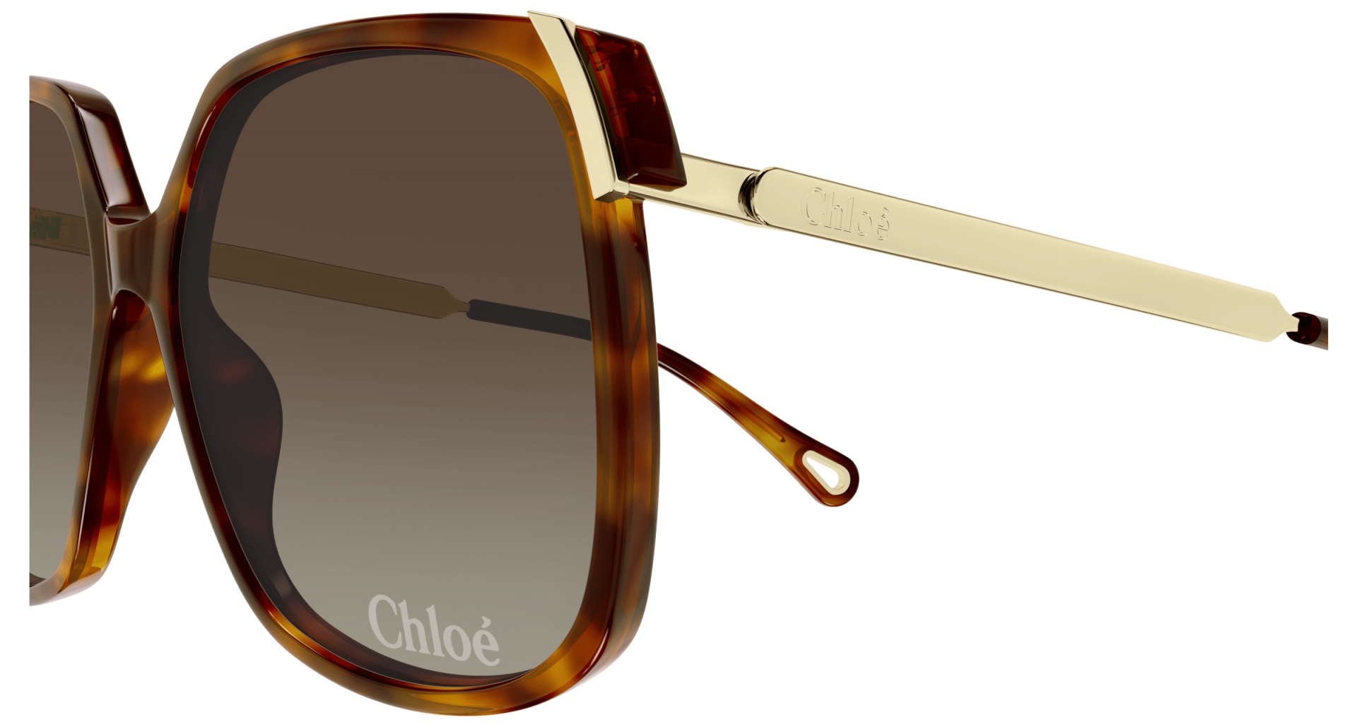 Occhiali da sole Chloé CH0286S 002 8056376565560 | Ottica Lux
