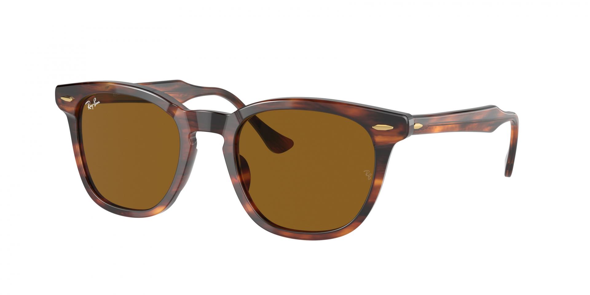 Sunglasses Ray-Ban RB2298 HAWKEYE 954/33 8056597626767 | Ottica Lux