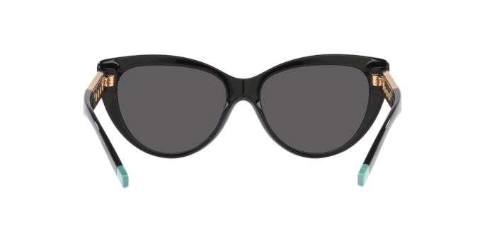 Occhiali da sole Tiffany & Co. TF4196 8001S4 8056597752282 | Ottica Lux