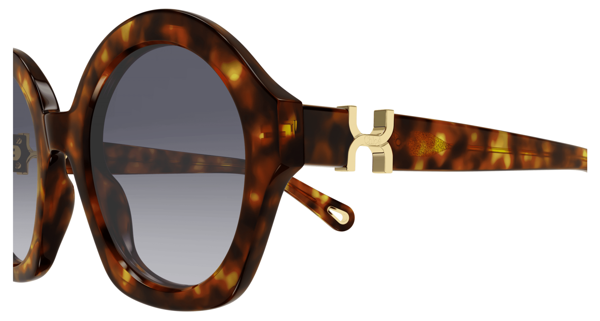 Sunglasses Chloé CH0302S 002 8056376561685 | Ottica Lux