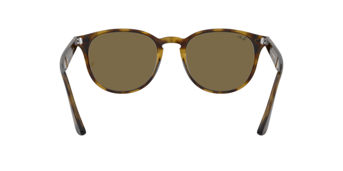 Sunglasses Ray-Ban RB4259 710/73 8053672602449 | Ottica Lux Sunglasses Ray-Ban RB4259 710/73 8053672602449 | Ottica Lux