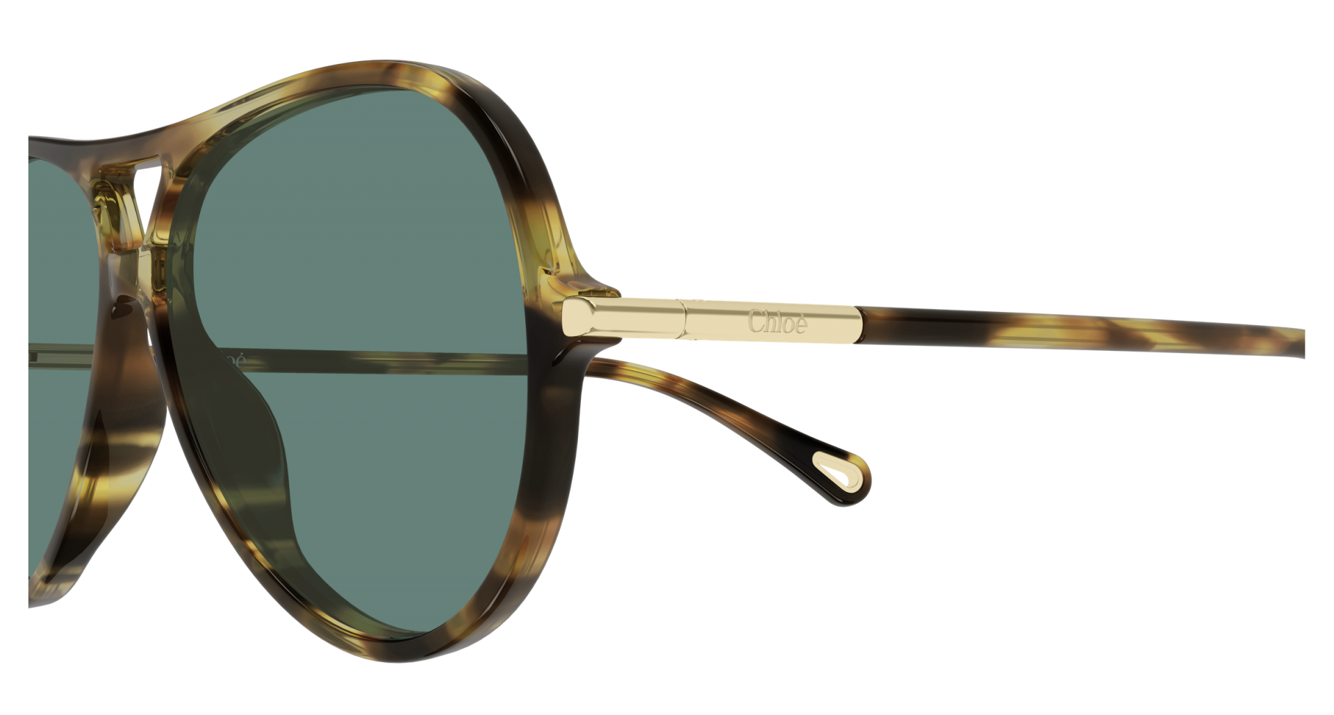 Sunglasses Chloé CH0395S 002 8056376701210 | Ottica Lux