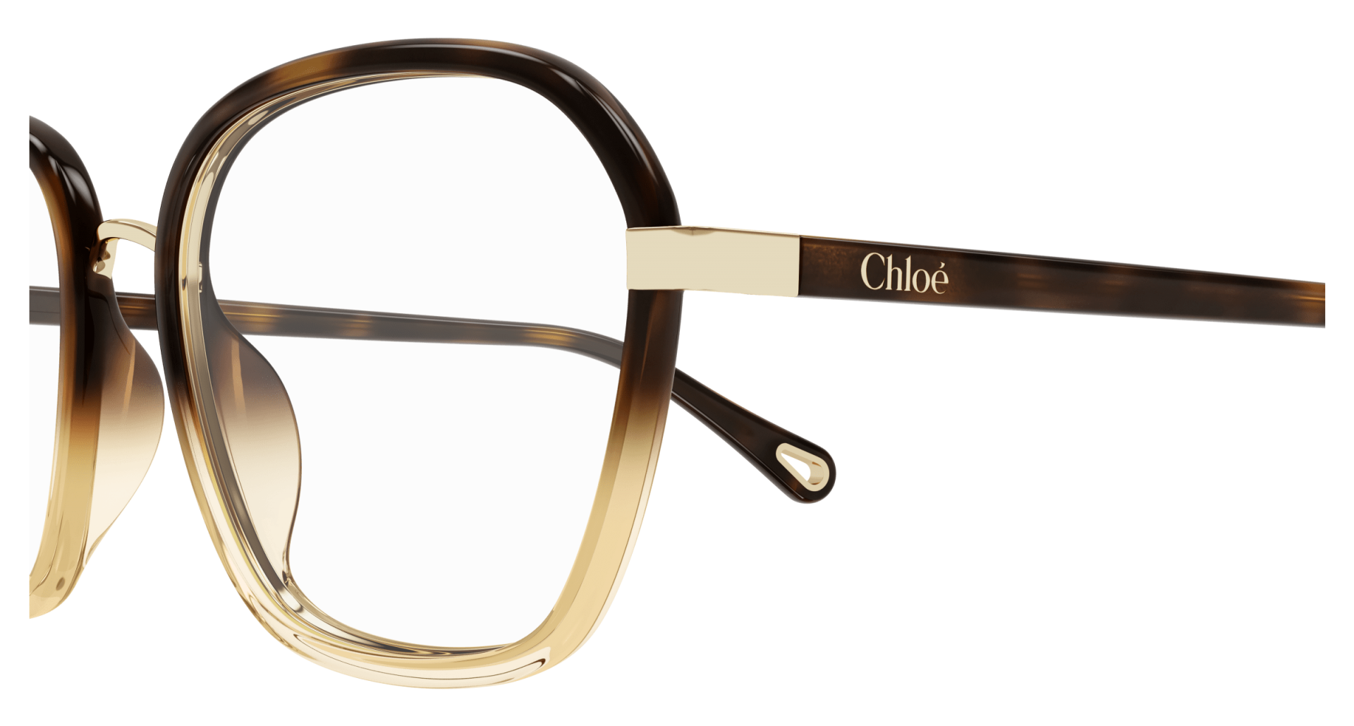 Ophthalmic frames Chloé CH0309O 002 8056376562019 | Ottica Lux
