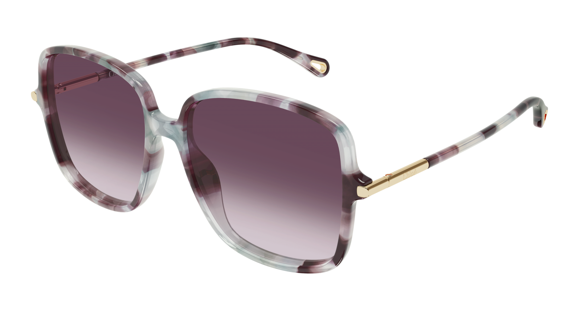 Occhiali da sole Chloé CH0396S 001 8056376701258 | Ottica Lux