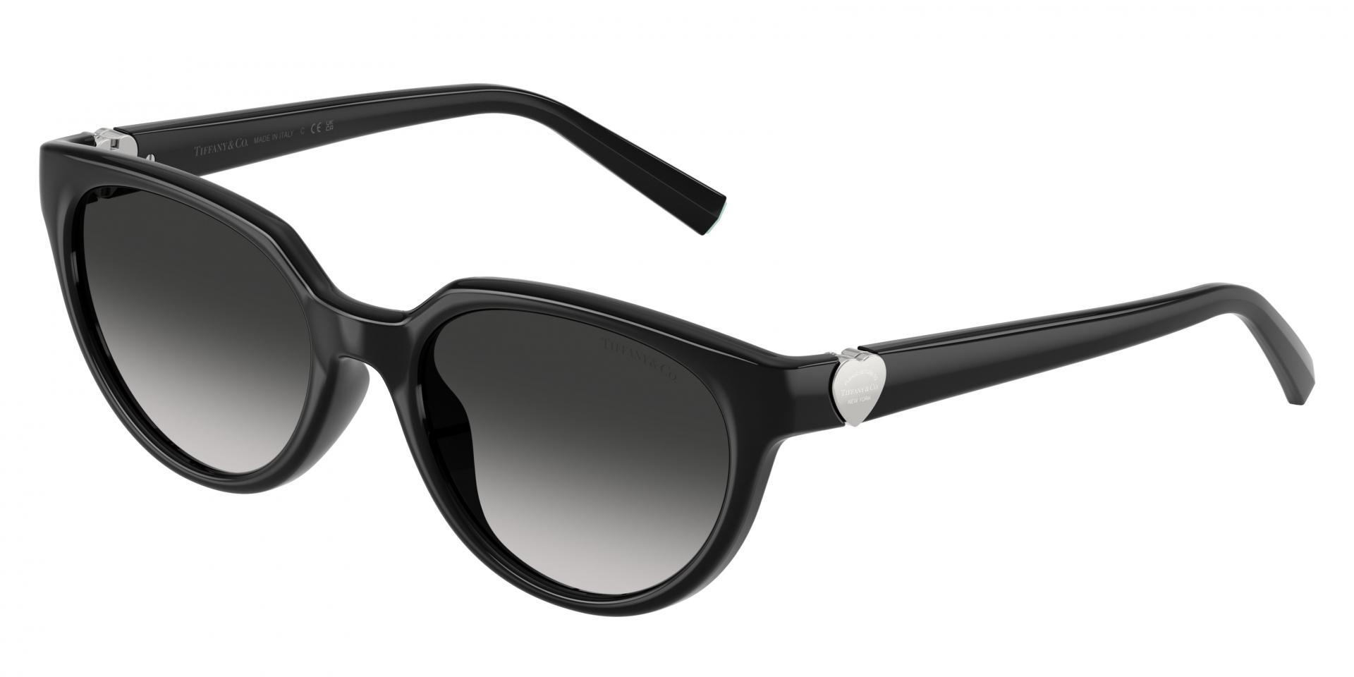 Sunglasses Tiffany & Co. TF4148 80013B 8053672884531 | Ottica Lux