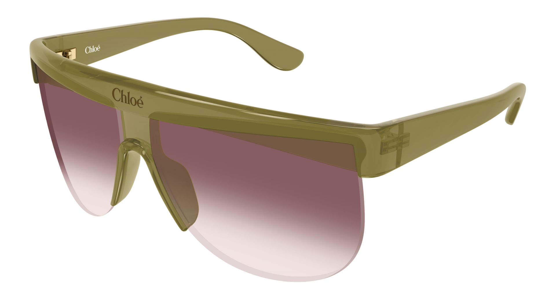 Occhiali da sole Gucci GG2019S 001 8056376644821 | Ottica Lux