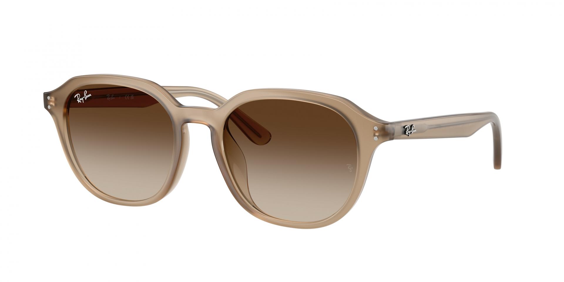 Occhiali da sole Ray-Ban rb4459d 623173 8056262464076 | Ottica Lux