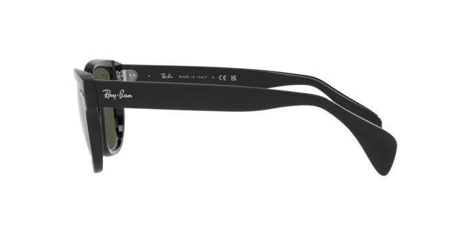 Sunglasses Ray-Ban RB0880S 901/31 8056597720601 | Ottica Lux Sunglasses Ray-Ban RB0880S 901/31 8056597720601 | Ottica Lux