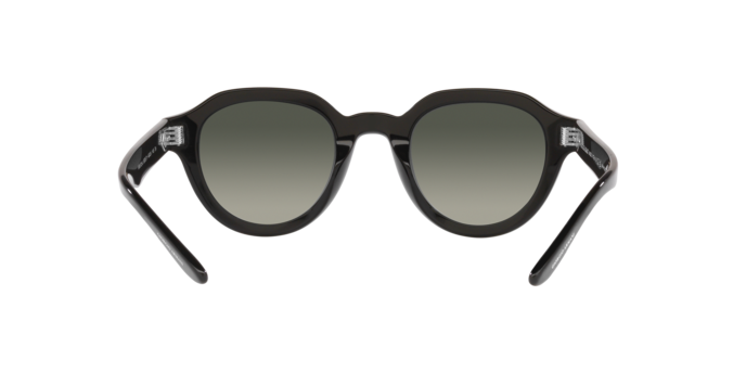 Occhiali da sole Giorgio Armani AR8172U 587571 8056597768740 | Ottica Lux