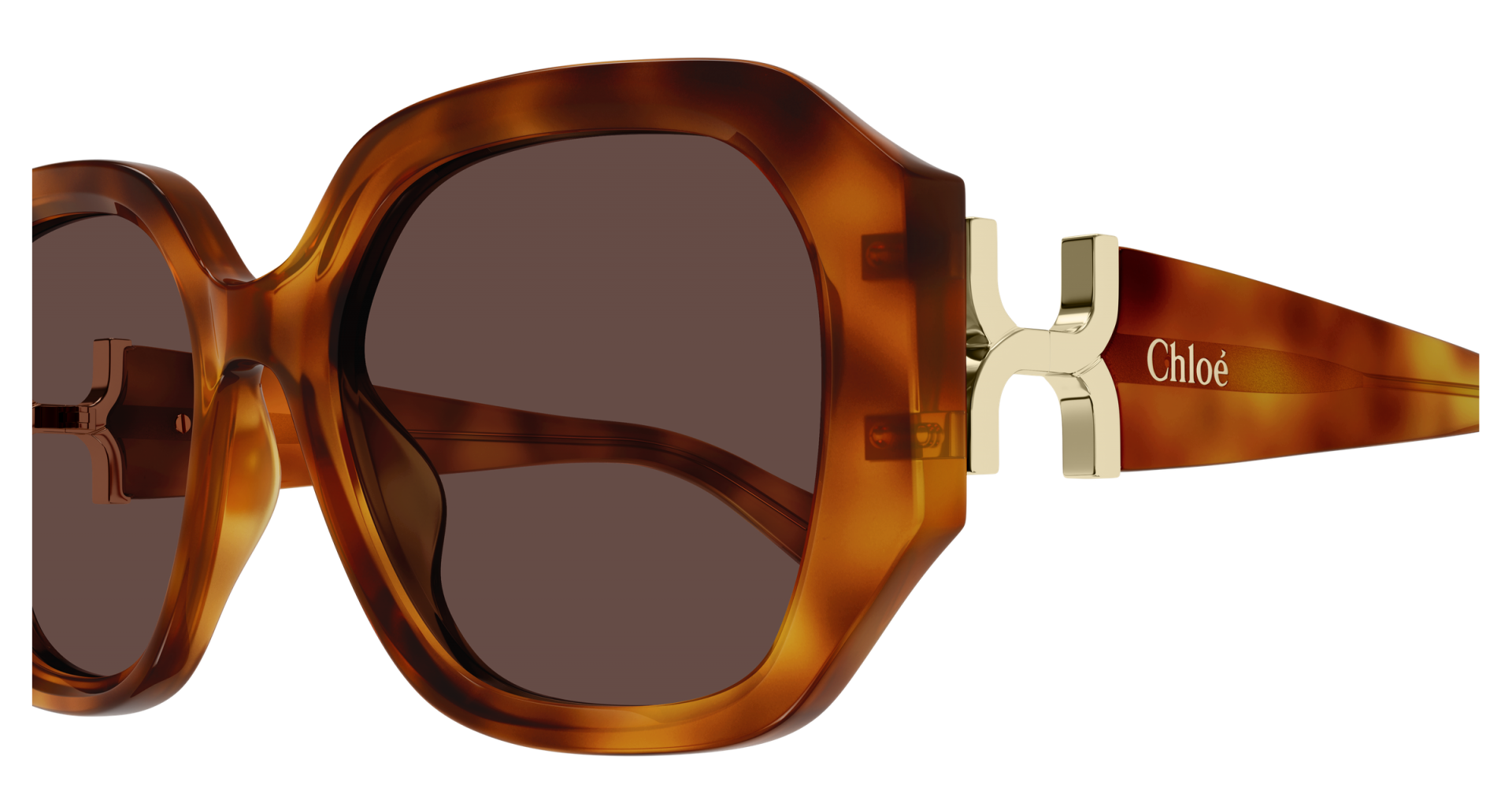 Sunglasses Chloé CH0236S 006 8056376659382 | Ottica Lux