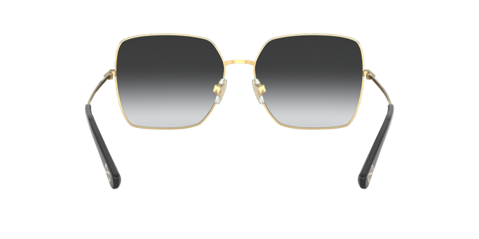 Occhiali da sole Dolce & Gabbana DG2242 13348G 8056597133227 | Ottica Lux