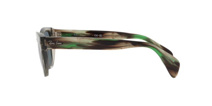 Sunglasses Ray-Ban RB0880S 66353R 8056597720540 | Ottica Lux