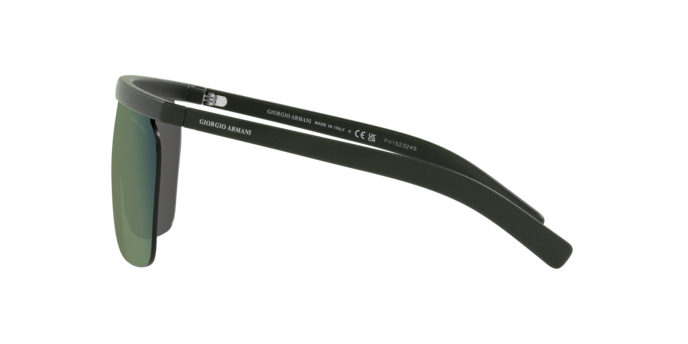 Occhiali da sole Giorgio Armani AR8169 59606R 8056597738965 | Ottica Lux