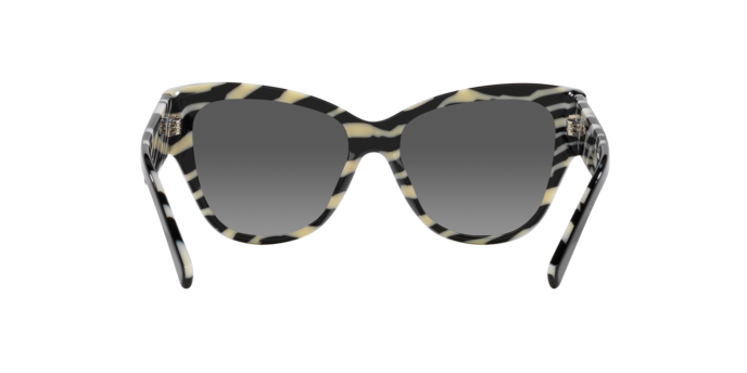 Sunglasses Dolce & Gabbana DG4449 3372/P 8056597947848 | Ottica Lux Sunglasses Dolce & Gabbana DG4449 3372/P 8056597947848 | Ottica Lux