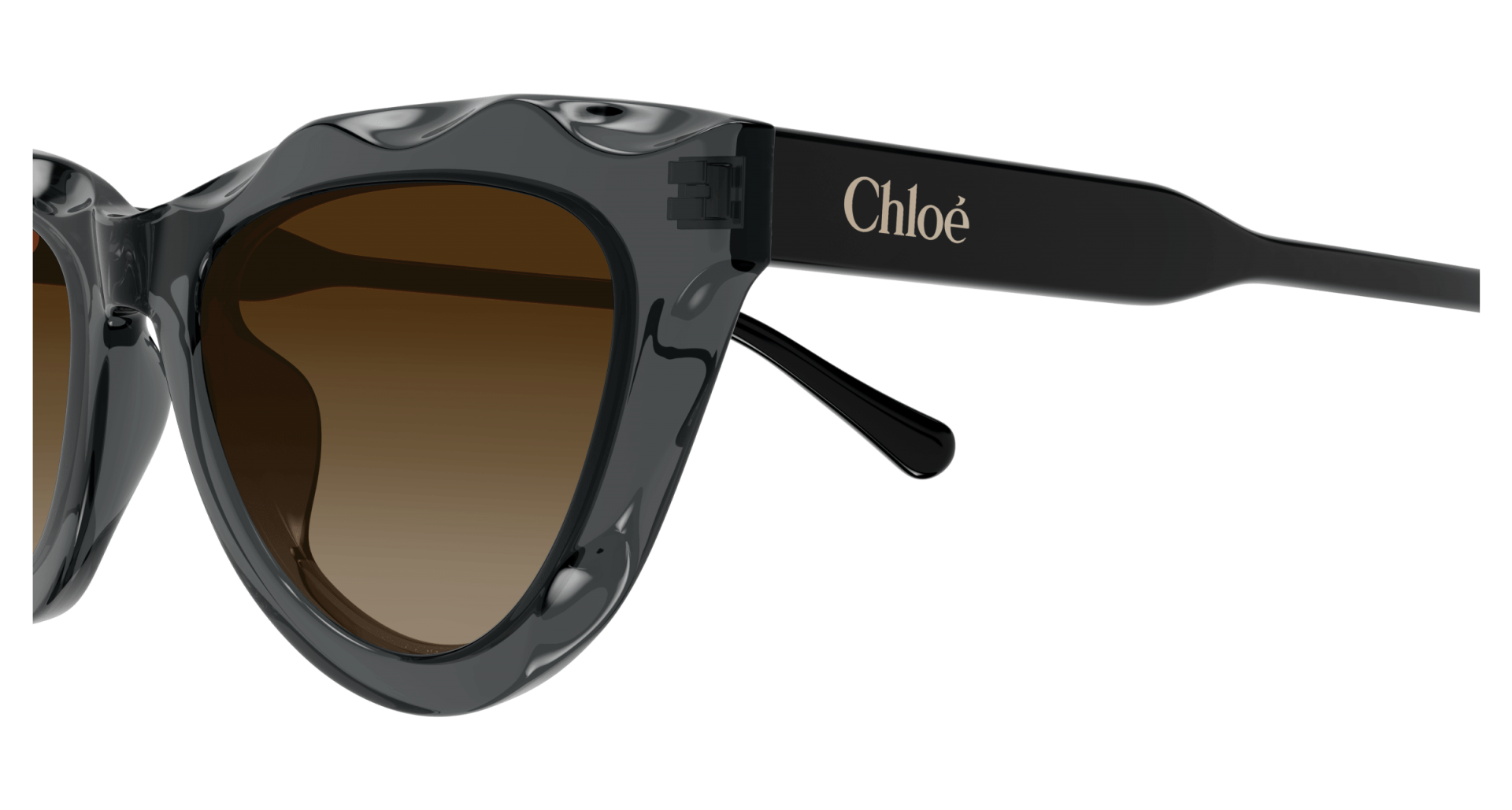 Sunglasses Chloé CH0294S 005 8056376561357 | Ottica Lux