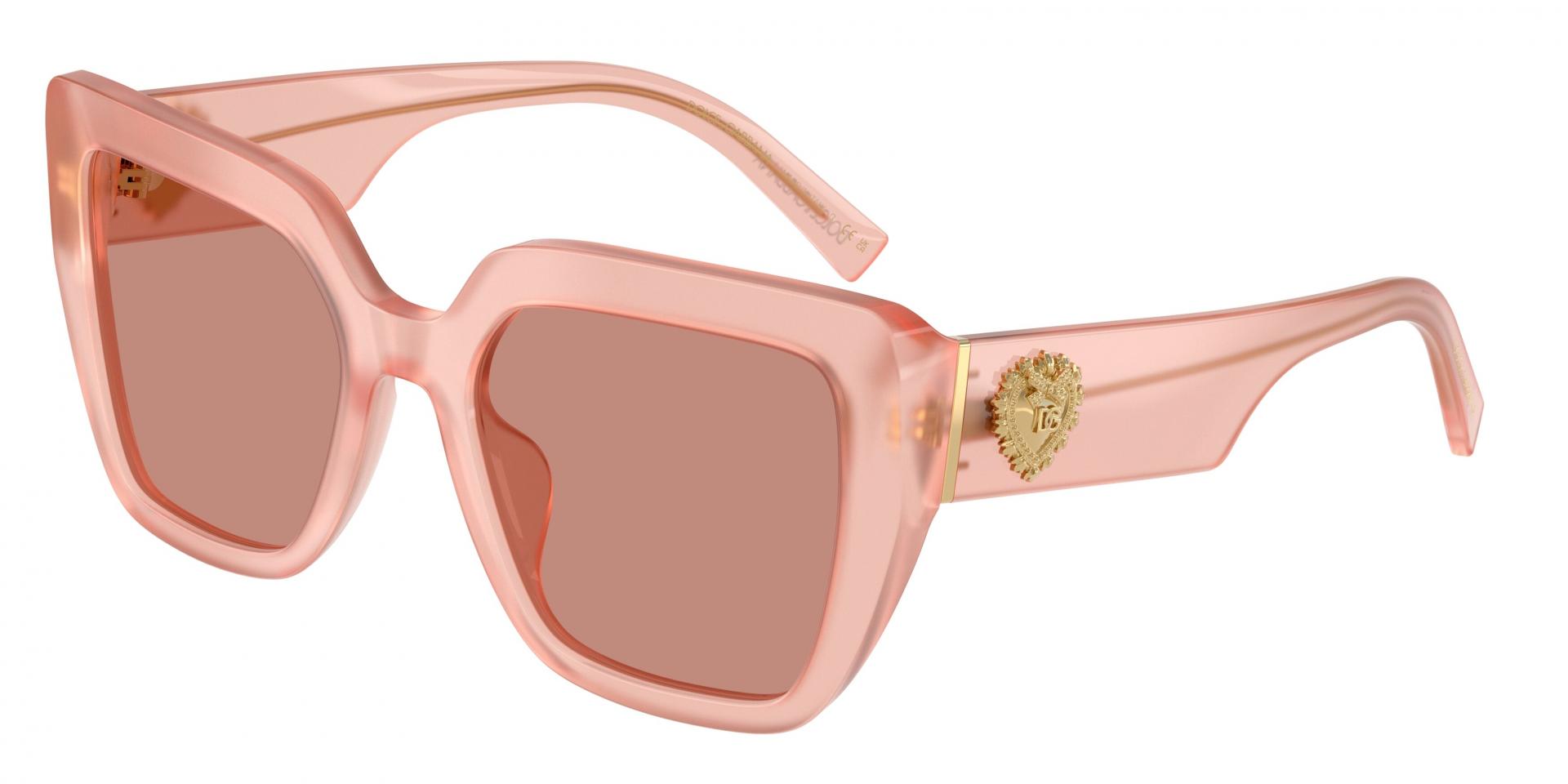 Occhiali da sole Dolce & Gabbana DG4538 342093 8056266026775 | Ottica Lux