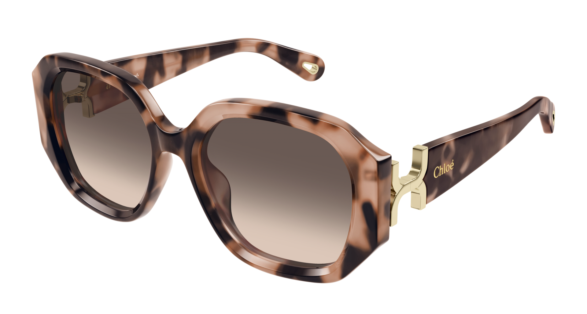 Occhiali da sole Bottega Veneta BV1005S 010 8056376532975 | Ottica Lux