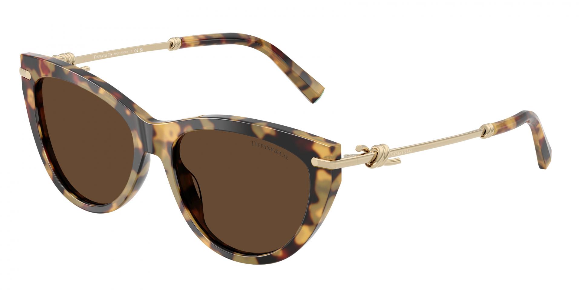 Sunglasses Dolce & Gabbana dg4495 344713 8056262466902 | Ottica Lux