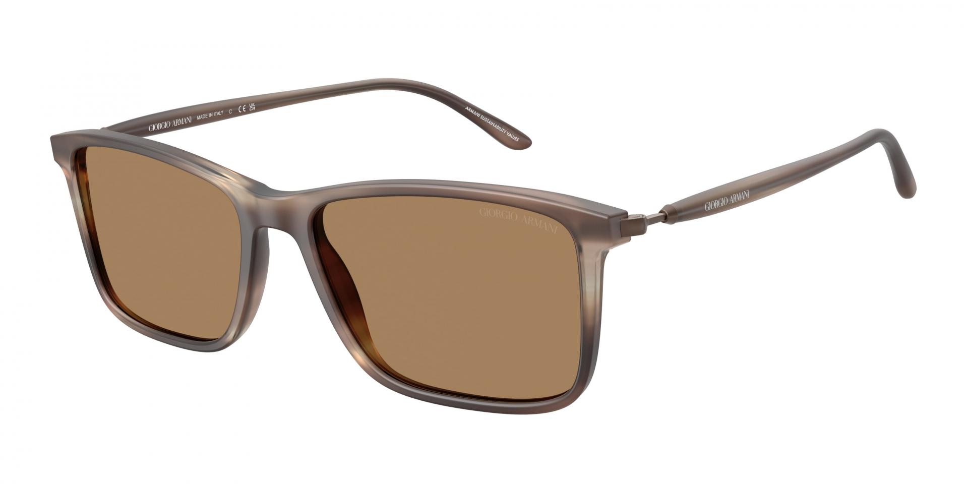 Sunglasses Giorgio Armani AR8218 6167M4 8056262221815 | Ottica Lux